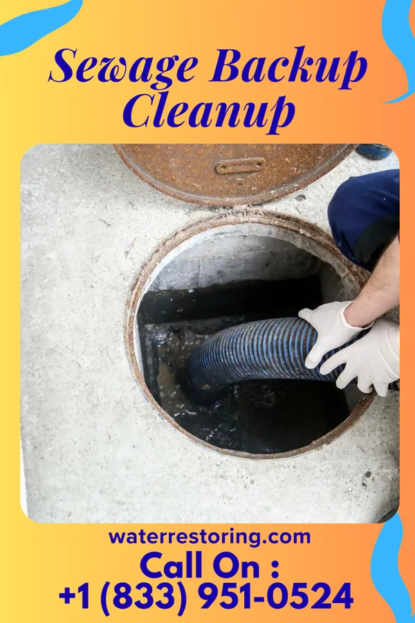 Sewage Backup Cleanup in Sunray, OK