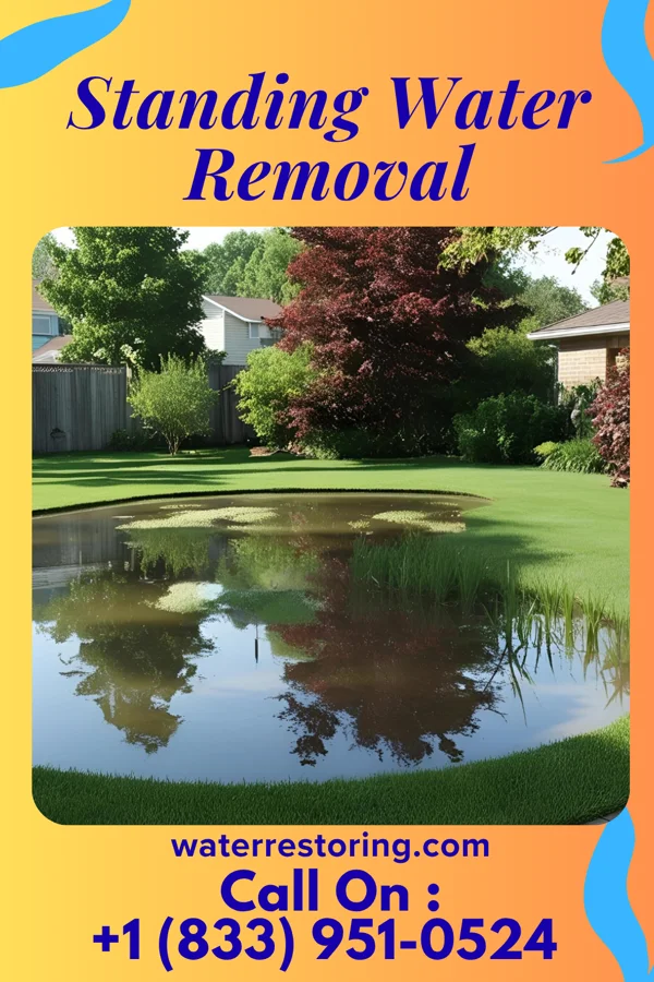 Standing Water Removal in Sunray, OK